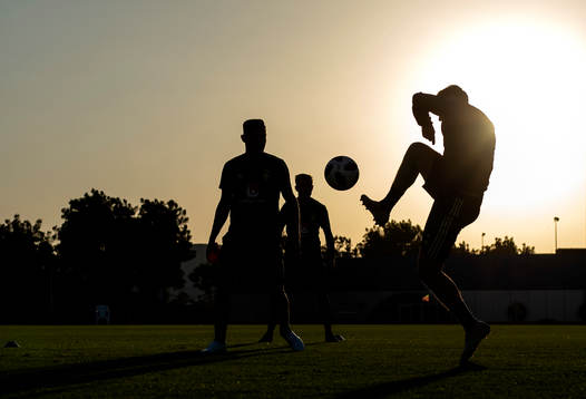 Silhouettes of Swedish players