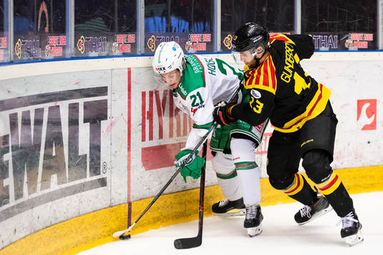 Rögles Nils Höglander och Brynäs Ryan Gunderson i kamp