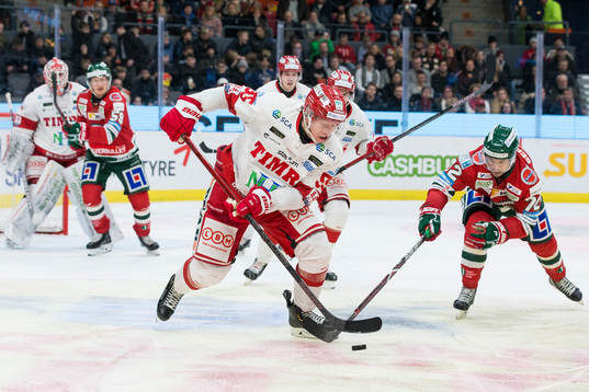 Timrås Vilmos Gallo