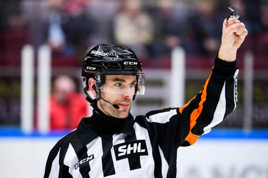 Domare Richard Magnusson