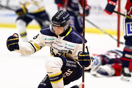s Markus Ljungh