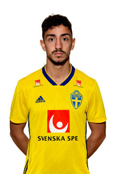Sweden's Daleho Irandust poses for a portrait