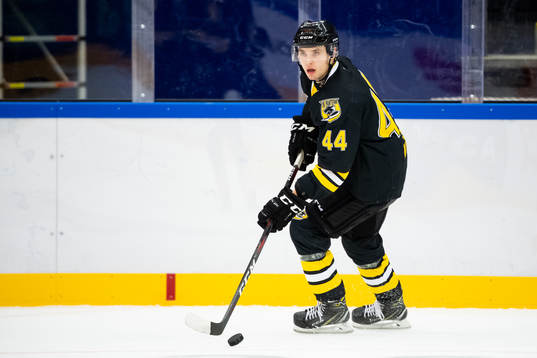 Panterns Erik Nyström