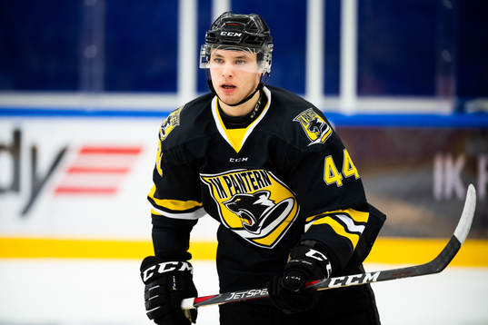 Panterns Erik Nyström