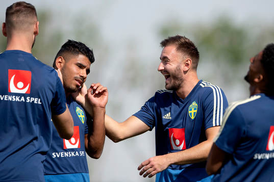 Sweden's Muamer Tankovic and Hosam Aiesh