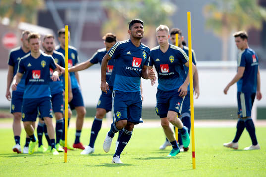 Sweden's Hosam Aiesh