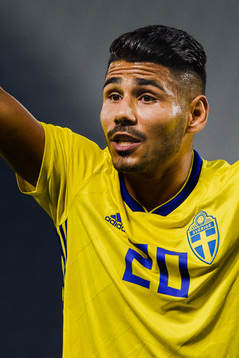Hosam Aiesh of Sweden