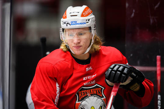 Marcus Sylvegård