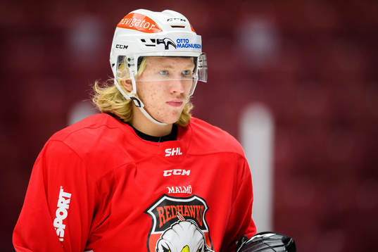 Marcus Sylvegård