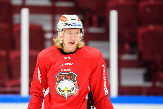 Marcus Sylvegård