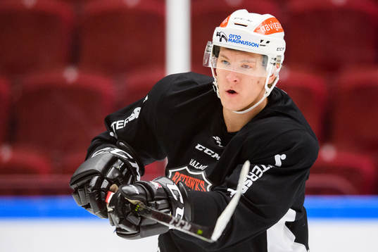 Emil Sylvegård