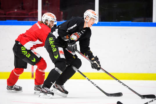 Anton Öhman och Fredrik Händemark
