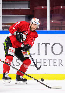 Konstantin Komarek
