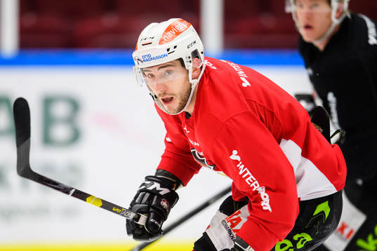 Konstantin Komarek