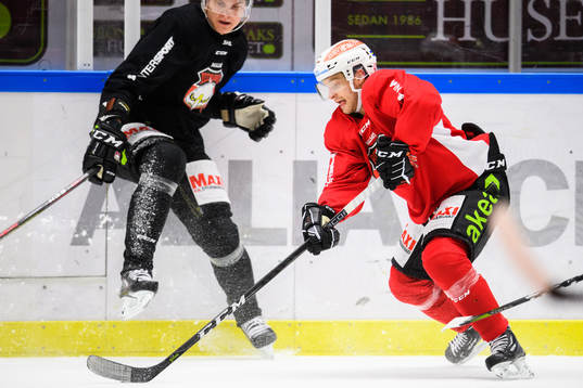 Johan Olofsson och Fredrik Händemark