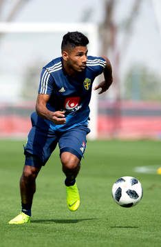 Sweden's Hosam Aiesh