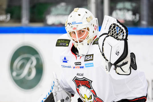 Malmö Redhawks målvakt David Elmgren
