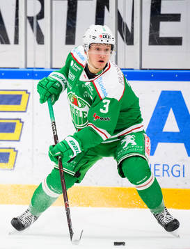 Rögles Daniel Bertov