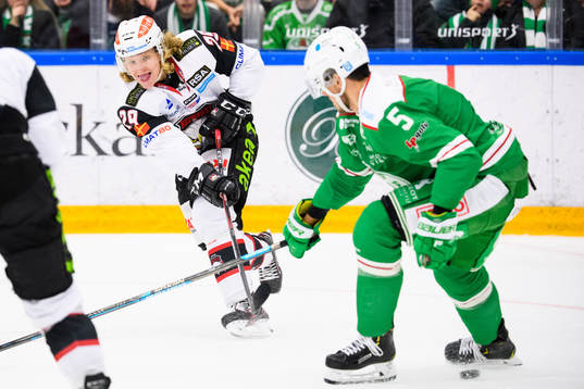 Malmö Redhawks Marcus Sylvegård