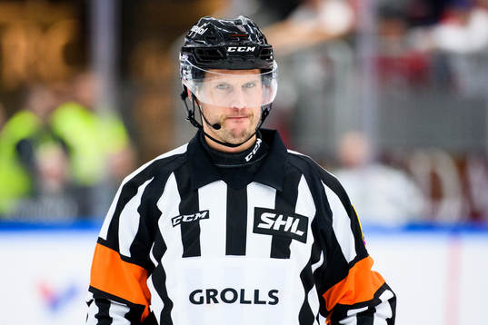 Domare Johan Magnusson