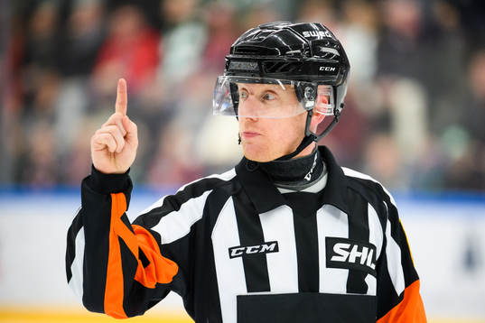 Domare Mikael Holm