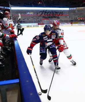 Linköpings Johan Södergran