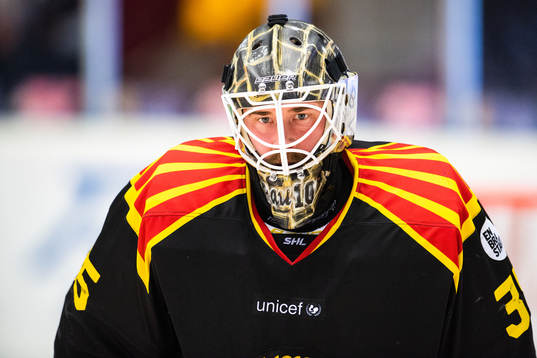 Brynäs målvakt David Rautio