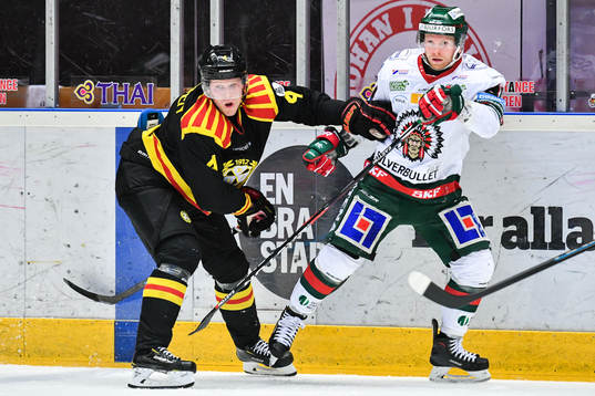 Brynäs Niclas Lundgren och Frölunda Ryan Lasch