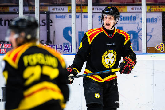 Brynäs Daniel Mannberg reagerar på domslut