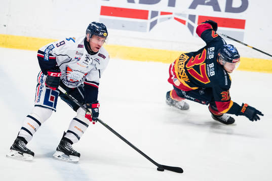 Linköpings Derek Roy och Djurgårdens Jesper Pettersson