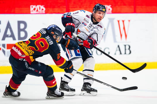 Linköpings Derek Roy och Djurgårdens Sebastian Strandberg