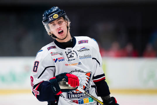 Linköpings Johan Södergran
