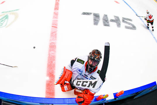 Malmö Redhawks målvakt David Elmgren