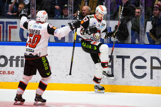 Malmö Redhawks Fredrik Händemark jublar