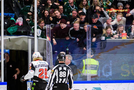 Malmö Redhawks Marcus Sylvegård lämnar isen