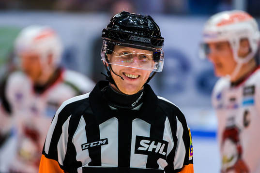 Domare Mikael Holm