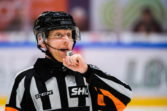 Domare Mikael Holm