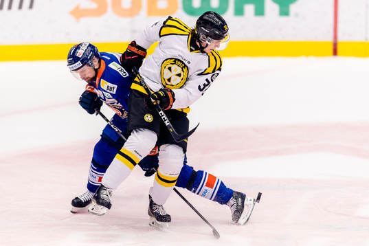 Brynäs Adam Deutsch