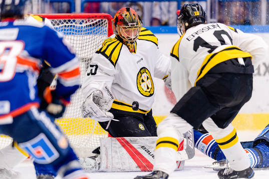 Brynäs målvakt Joacim Eriksson