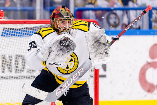 Brynäs målvakt Joacim Eriksson