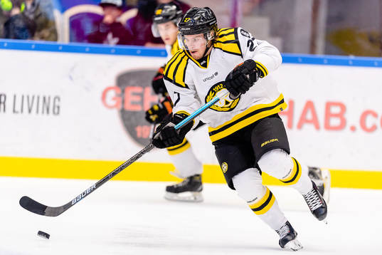 Brynäs Emil Forslund