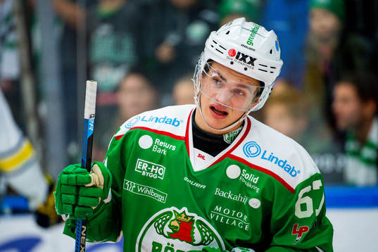 Rögles Leon Bristedt