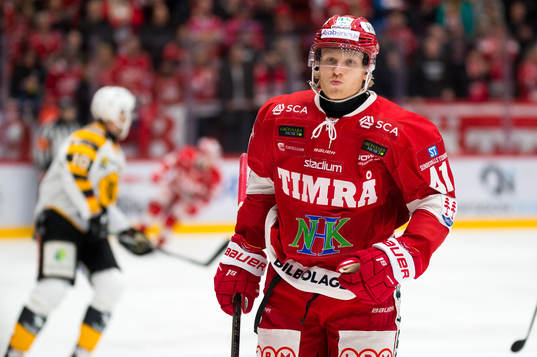 Timrås Alexander Falk
