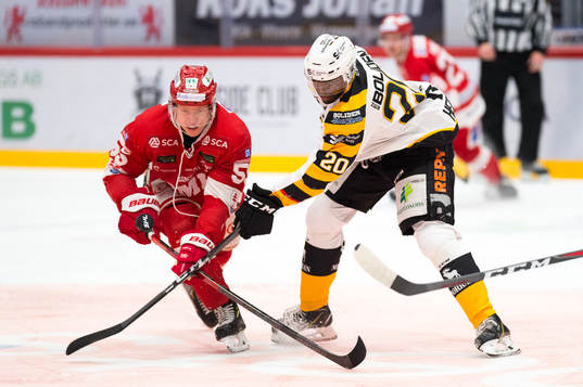 Timrås Vilmos Gallo och Skellefteås Edwin Hedberg
