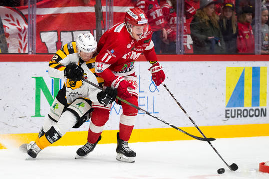 Skellefteås Adam Pettersson och Timrås Henrik Törnqvist