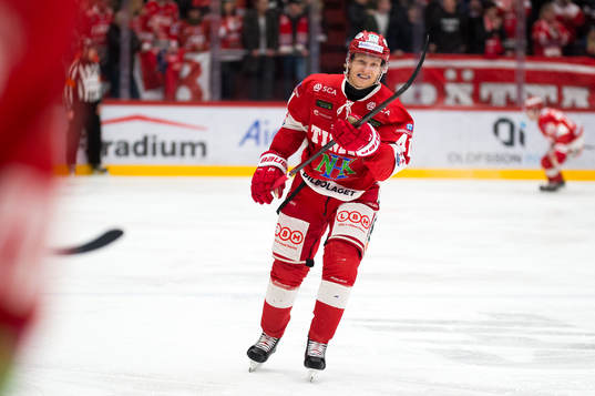 Timrås Alexander Falk