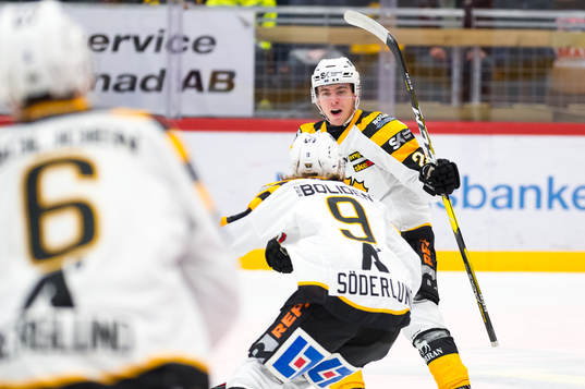 Skellefteås Andreas Wingerli jublar