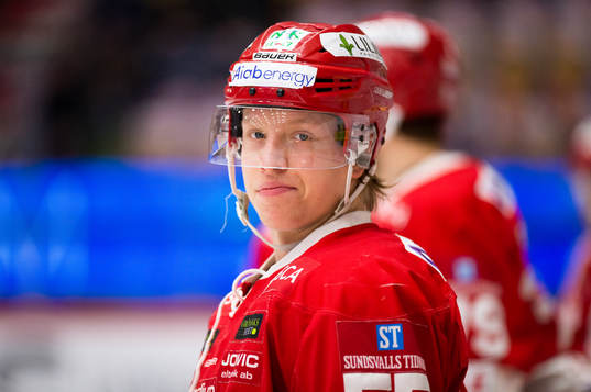 Timrås Vilmos Gallo
