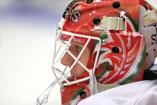 Ishockey, CHL PILSEN,CZECH REPUBLIC,15.JAN.19 - ICE HOCKEY