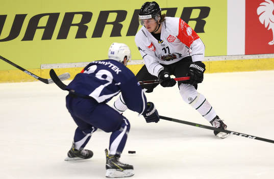 Ishockey, CHL PILSEN,CZECH REPUBLIC,15.JAN.19 - ICE HOCKEY